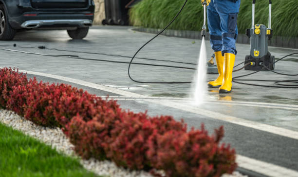 Trusted Basalt, CO Pressure Washing Services Experts